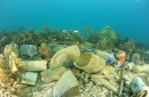 A sea-bed affected by the wrong disposal of plastic