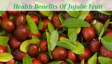 Health Benefits Of Jujube FruitHealth Benefits Of Jujube Fruit