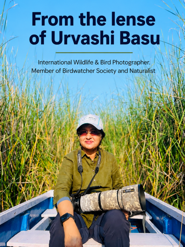 Through the Lens of Urvashi Basu: A Journey into the Wild